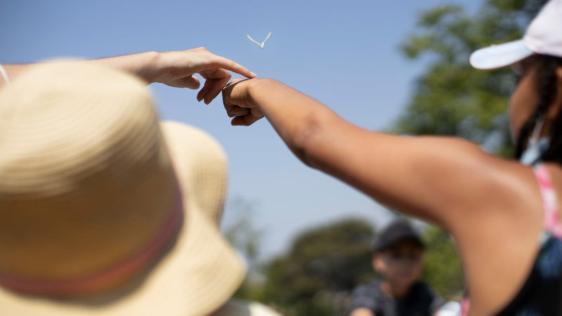 Nature et Biens Communs   Une semaine de programmation augmentée,  en co-construction avec les acteurs du territoire 